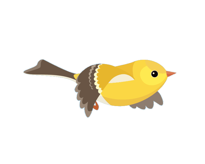 satta king gali disawar